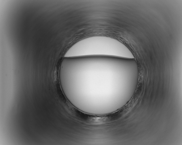 X0000096180323200801180855