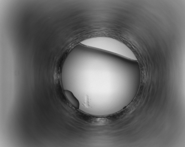 X0000096180324200801180855