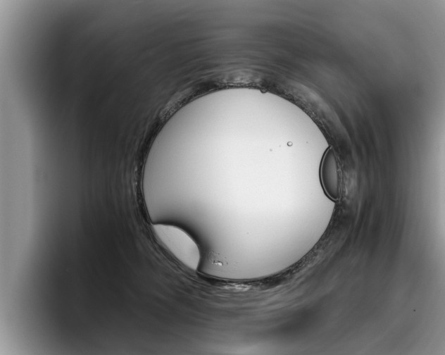 X0000096180326200801180855