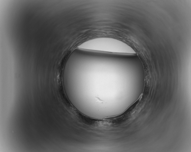 X0000096180327200801180855