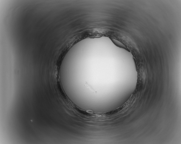 X0000096180328200801180855