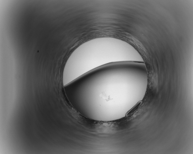 X0000096180329200801180855
