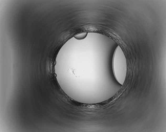 X0000096180330200801180855