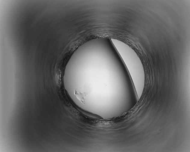 X0000096180332200801180855