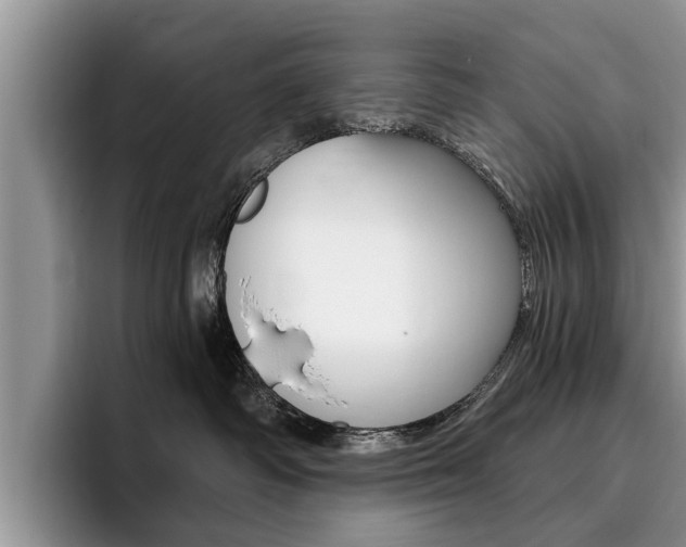X0000096180334200801180855