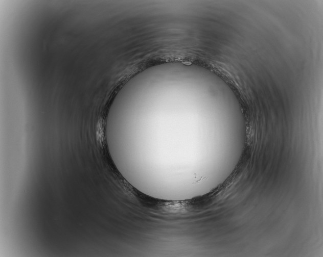 X0000096180335200801180855
