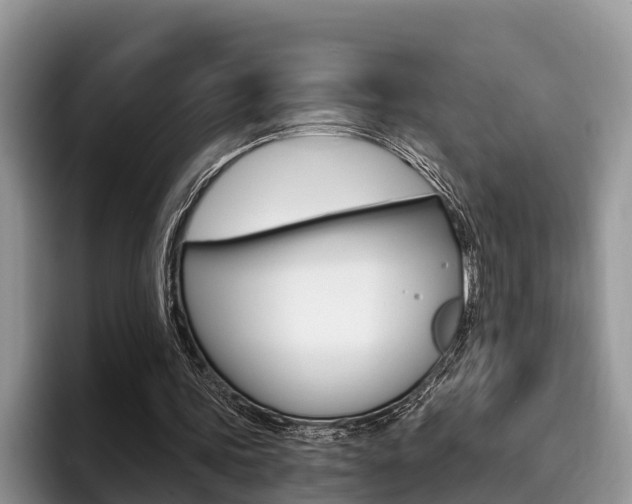X0000096180339200801180854
