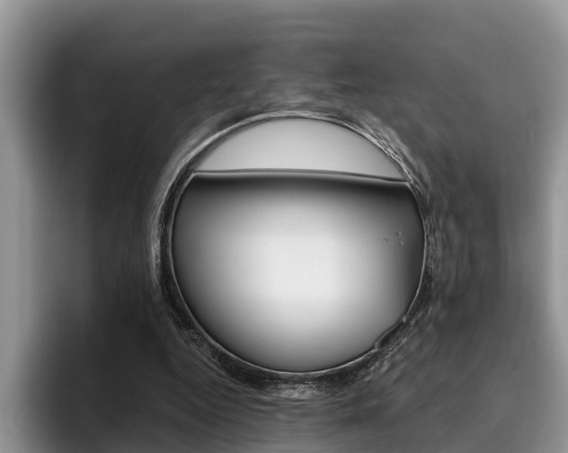X0000096180344200801180855