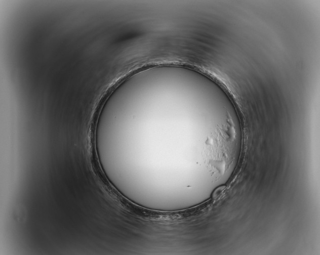 X0000096180345200801180855
