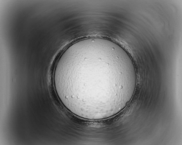 X0000096180347200801180855