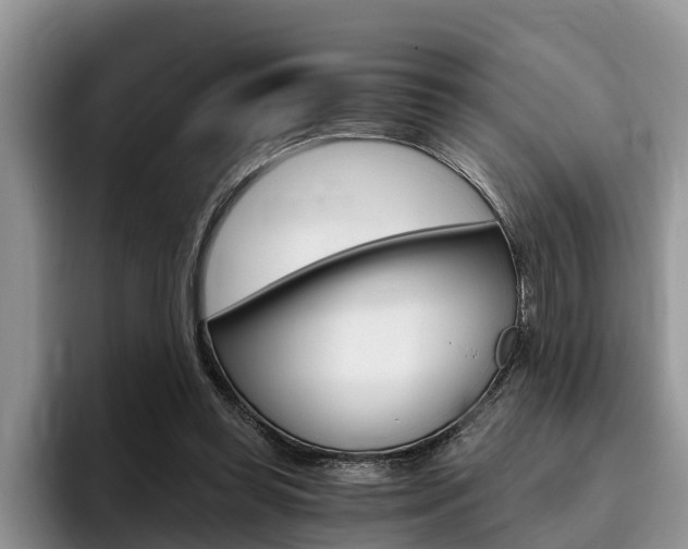 X0000096180349200801180855