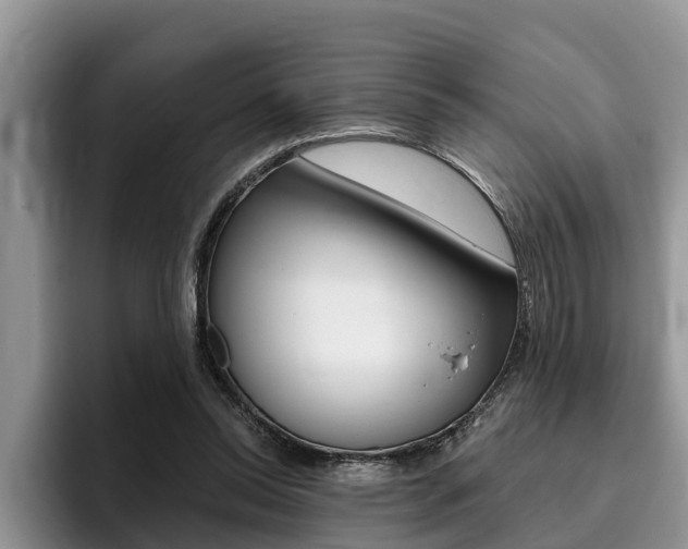 X0000096180350200801180855