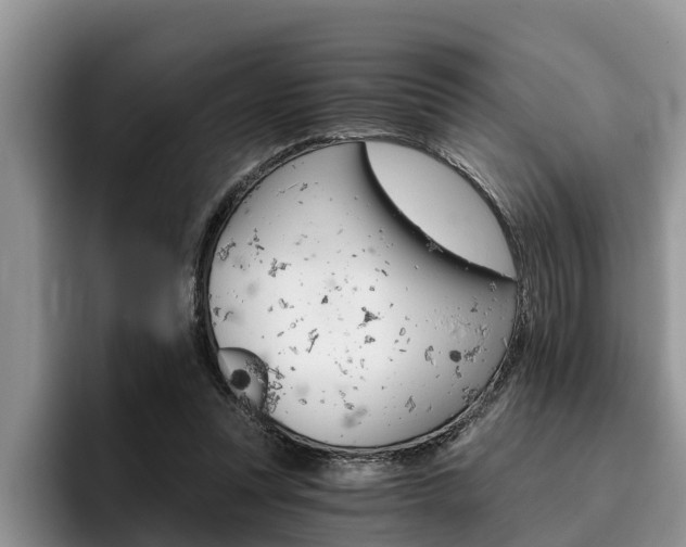 X0000096180351200801180855