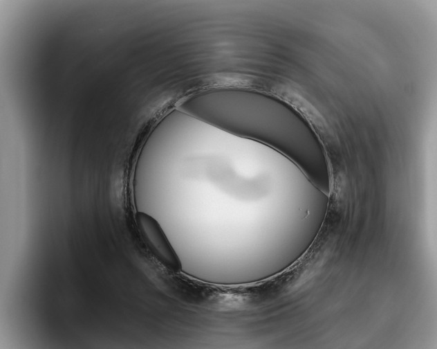 X0000096180352200801180855