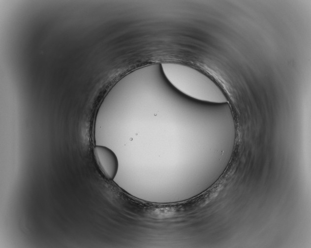 X0000096180353200801180855