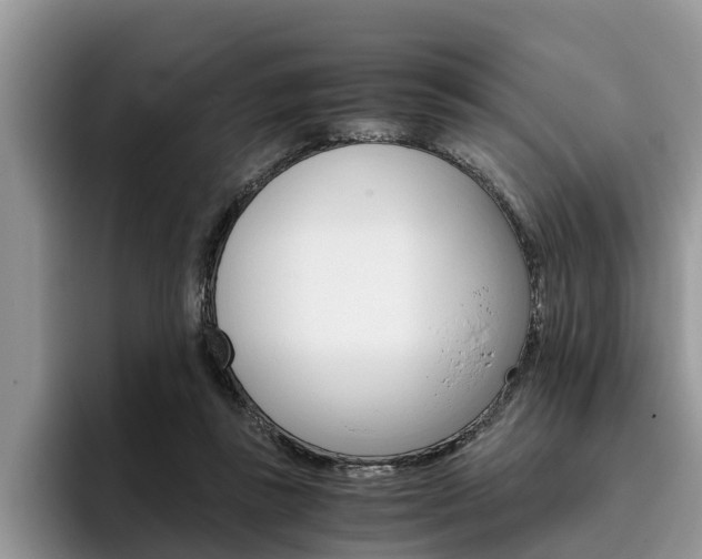 X0000096180355200801180855