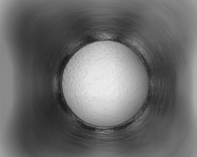 X0000096180359200801180855
