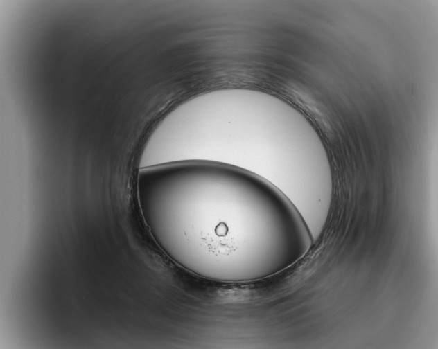 X0000096180362200801180855