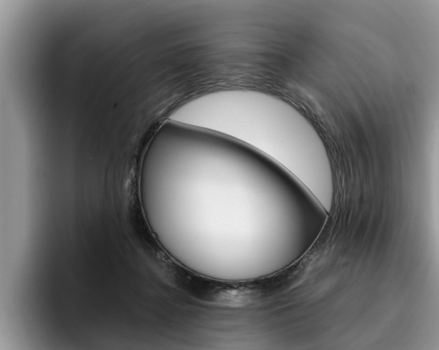 X0000096180364200801180855