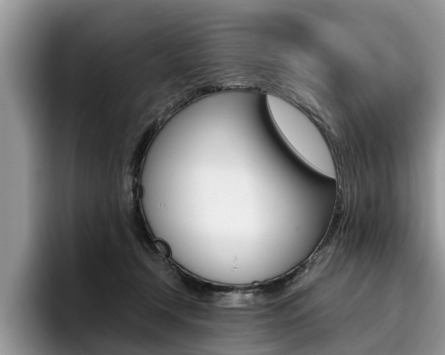 X0000096180366200801180855