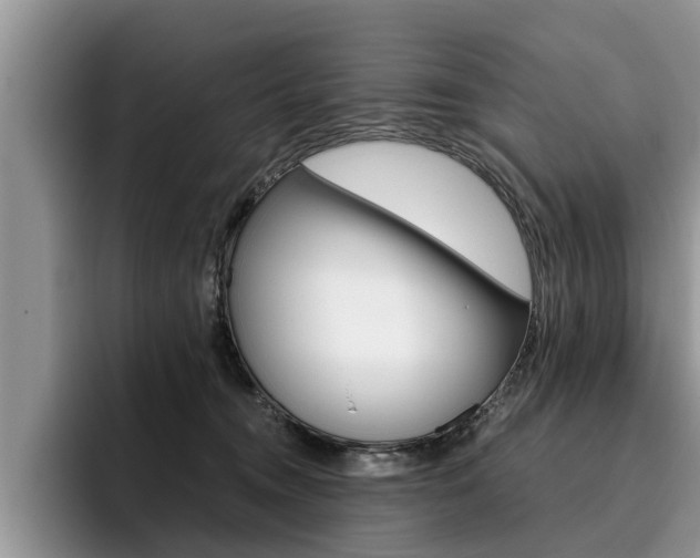 X0000096180372200801180855