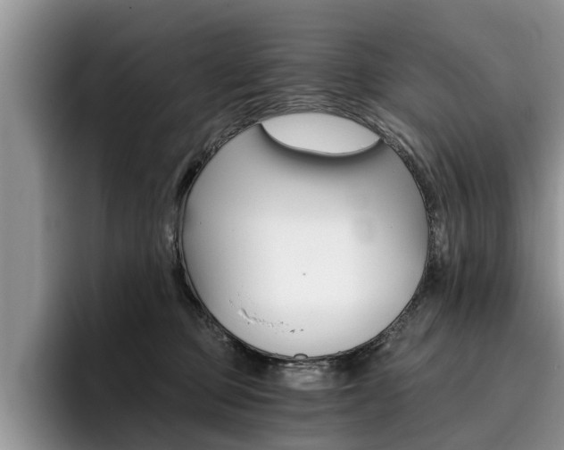 X0000096180373200801180855
