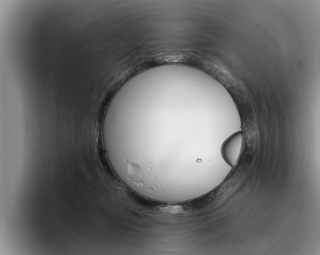 X0000096180374200801180855