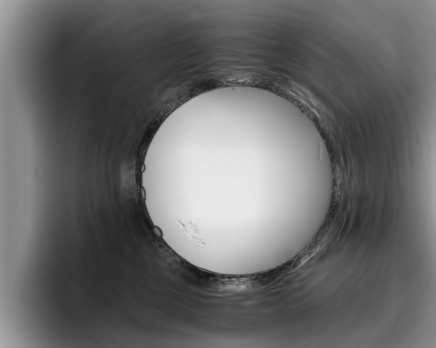 X0000096180377200801180855