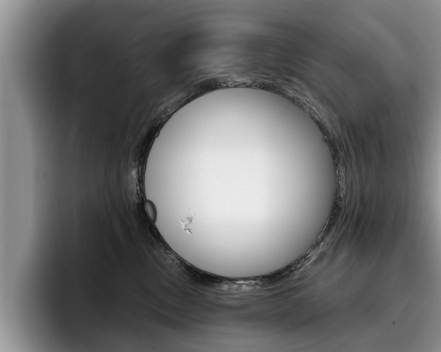 X0000096180378200801180855