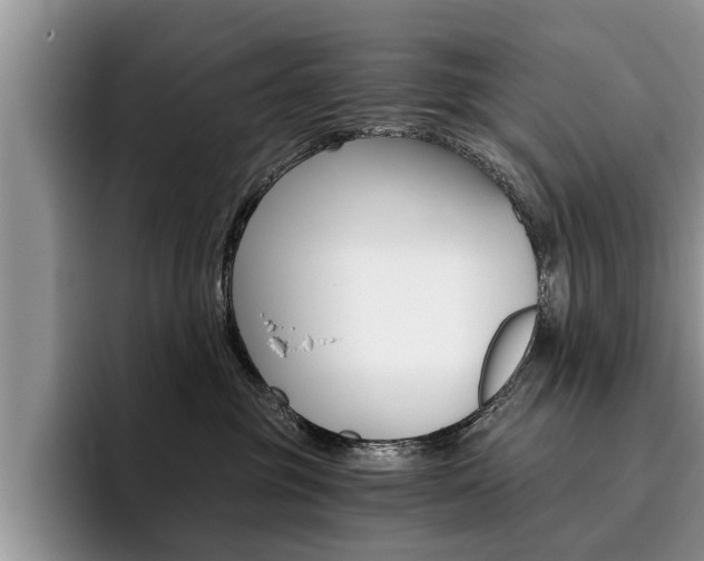 X0000096180381200801180855