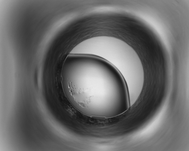 X0000096180382200801180855