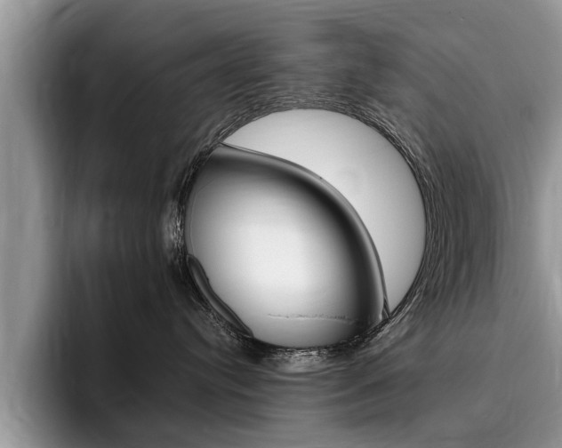 X0000096180384200801180855