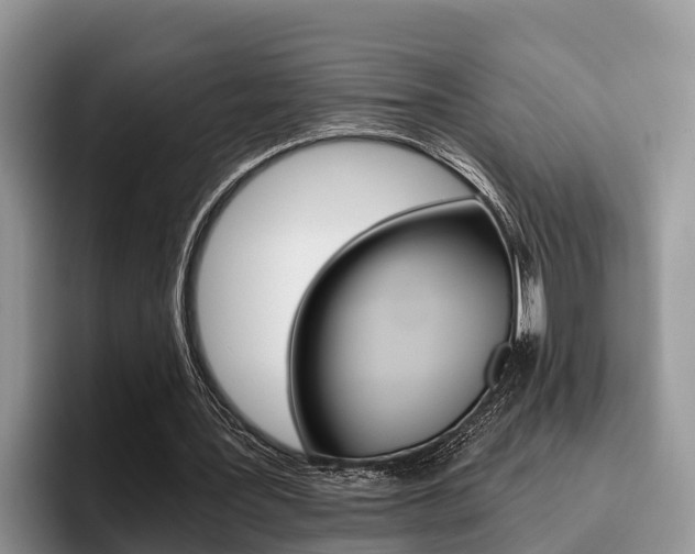 X0000096180387200801180854