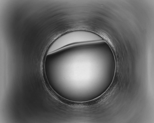 X0000096180389200801180854
