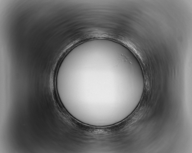 X0000096180390200801180854