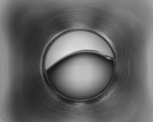 X0000096180391200801180854