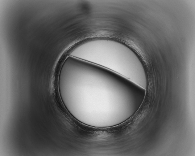 X0000096180392200801180854