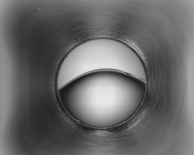 X0000096180393200801180854