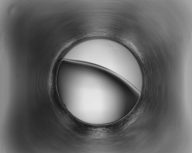 X0000096180396200801180854