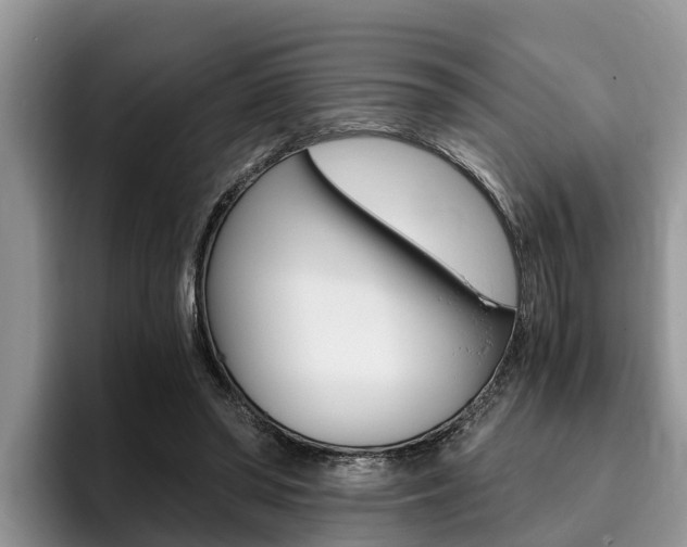 X0000096180398200801180854