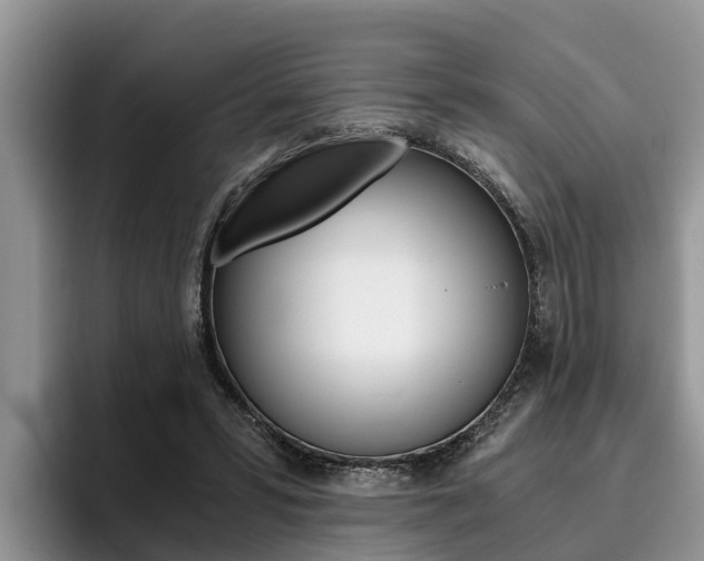 X0000096180399200801180854