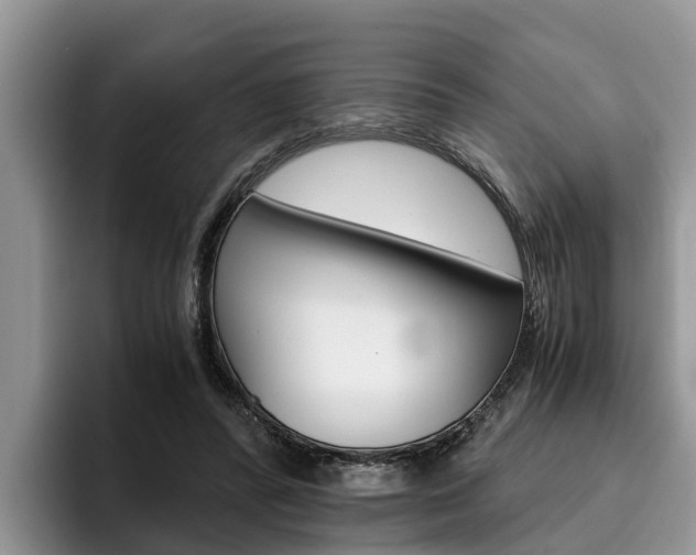X0000096180400200801180854