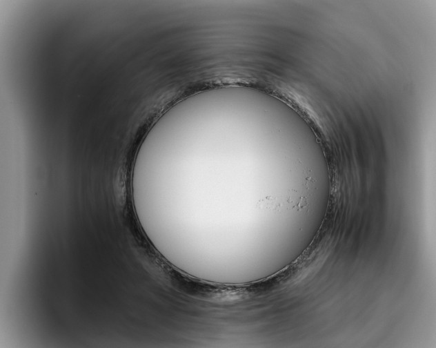 X0000096180402200801180854