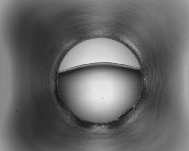 X0000096180403200801180854