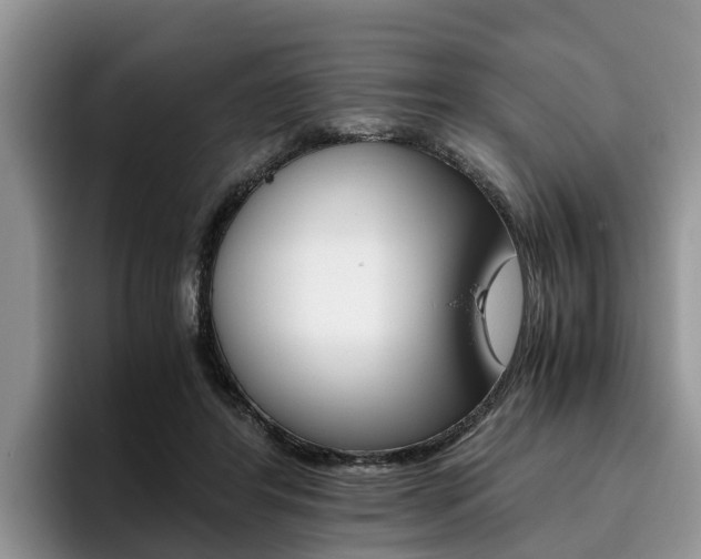 X0000096180404200801180854