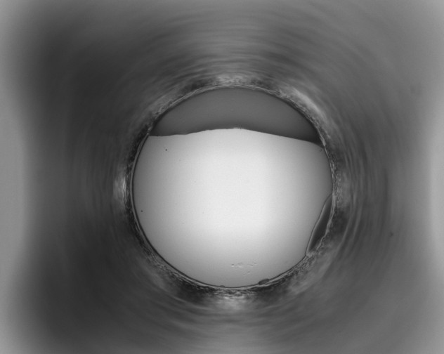 X0000096180405200801180854