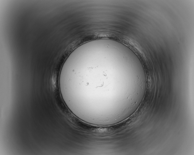 X0000096180406200801180854
