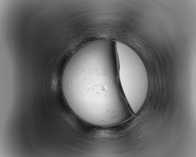 X0000096180408200801180854