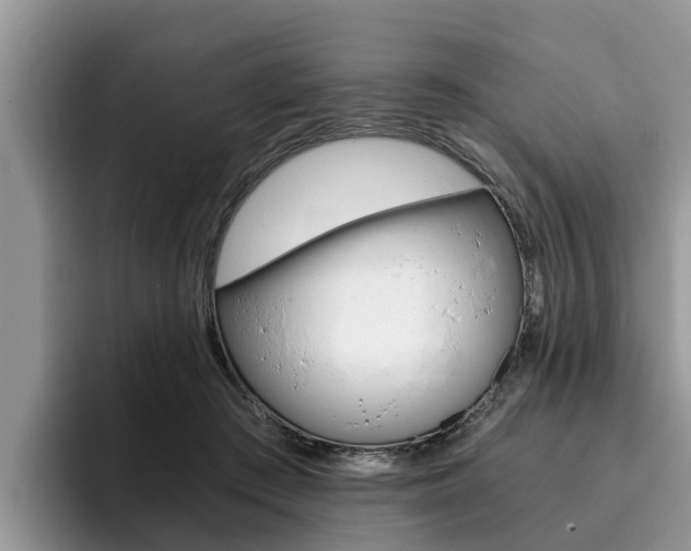 X0000096180409200801180854