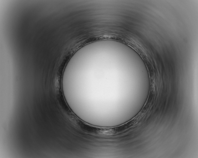 X0000096180410200801180854
